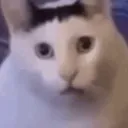 CATHUH