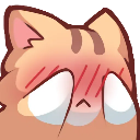 catoshy Discord emoji