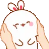 adorable1 adorable1