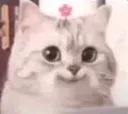 aeiminnocent aeiminnocent
