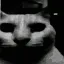 VoidCat