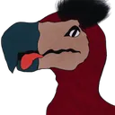 dodo