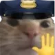 D7_PoliceCat D7_PoliceCat