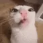 crunch