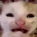 ohno