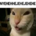 NYEHEHHE