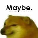 maybedoge_hq maybedoge_hq