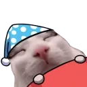 catsleep