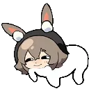 dorocaper