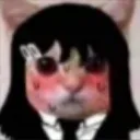 blushcat