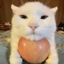 aplcat