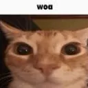 woa