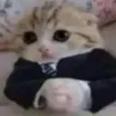 CatInSuit