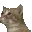 catdance