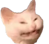 SmileThroughPain SmileThroughPain