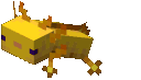 Axolotl_gold