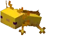 Axolotl_gold