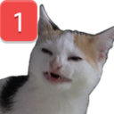 pingcat Discord emoji