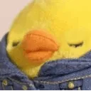 what_blink_duck