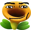 flower_rizz flower_rizz