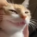 smug