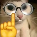 Nerd Cat Nerd_Cat Discord Emoji