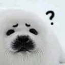 sealque sealque