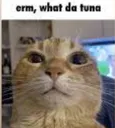 ermthetuna
