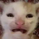 upsetti