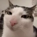 bruh