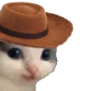 meowdy meowdy