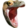 pog