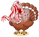 fangurkey fangurkey