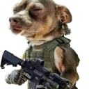 DogLetsGo