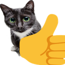 thumbs_up_cat Discord Emoji from Make Money Online 💸