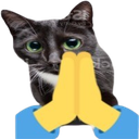pray_cat custom emote | Make Money Online 💸
