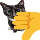 thumbs_down_cat Discord sticker | Make Money Online 💸