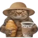 morningcat