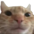 uhub_slaviklooking