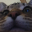 :BanditLurk: