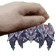 aureus_pat