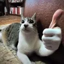 thumbsupcat