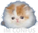 iamconfus