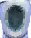 thy