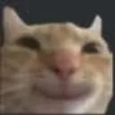 catsmiling