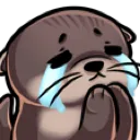 otter_crying