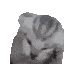 AGC_Voices Discord emoji