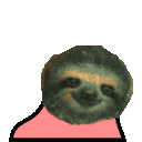 4489_partyslothparrot