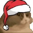 CatNum