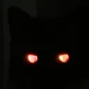 evil_cat_stare
